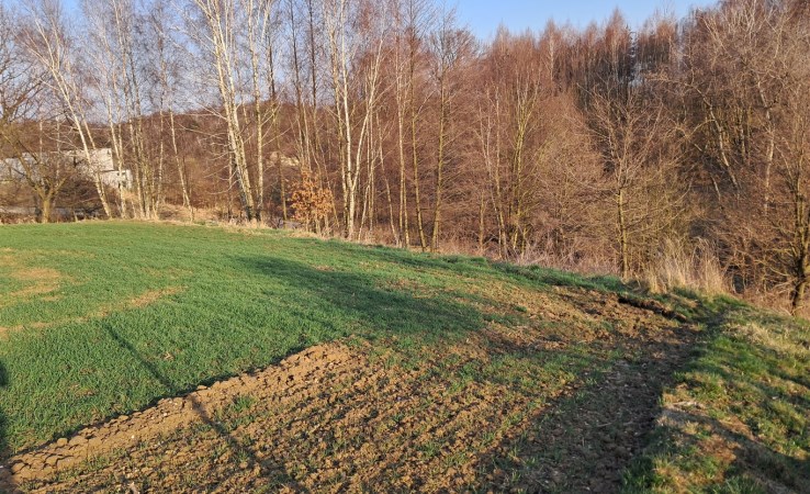 działka na sprzedaż - Marklowice